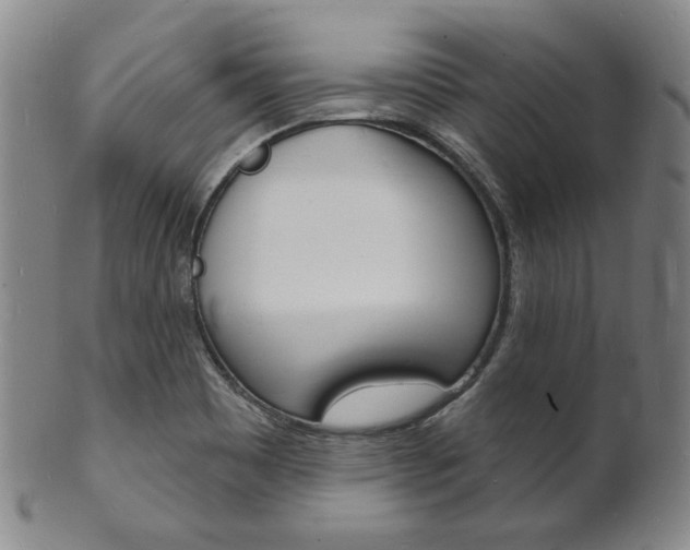 X0000101691465200807101156