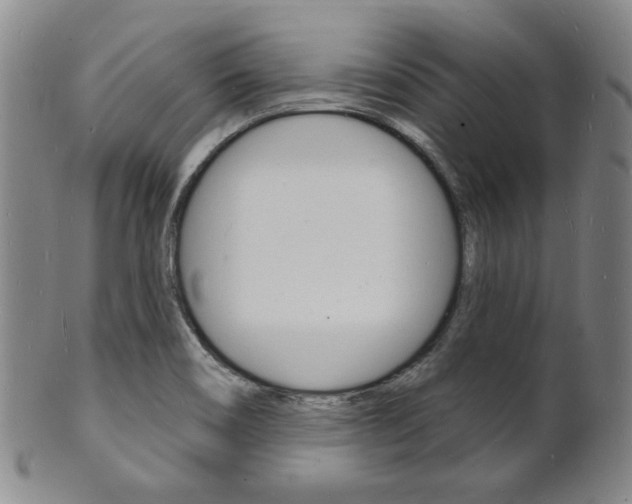 X0000101691466200807101156