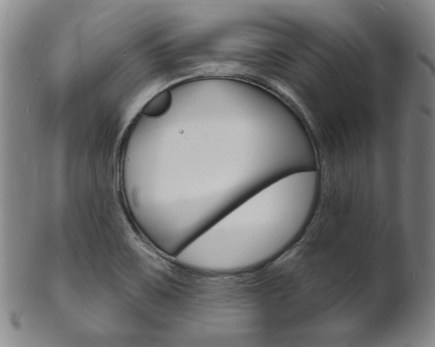 X0000101691467200807101156