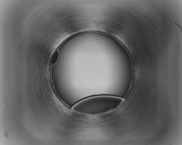 X0000101691468200807101156