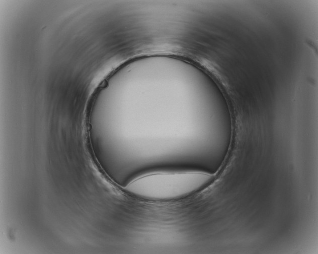 X0000101691469200807101156
