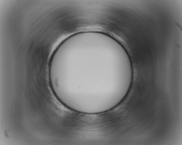 X0000101691470200807101156