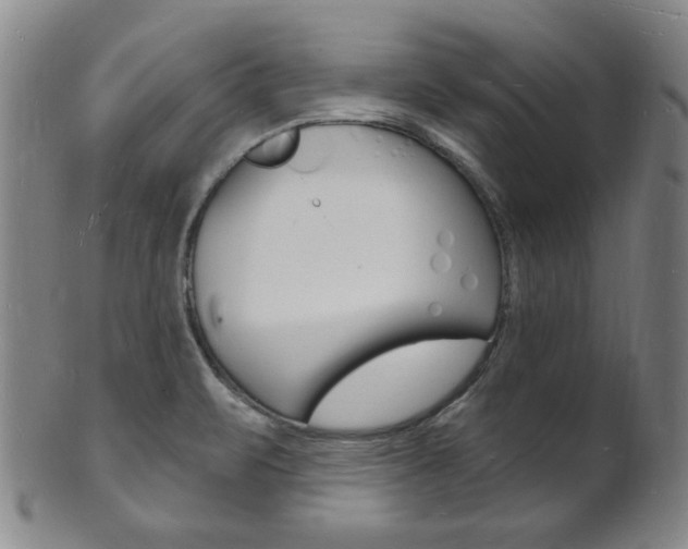 X0000101691471200807101156