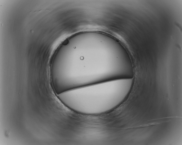X0000101691472200807101156