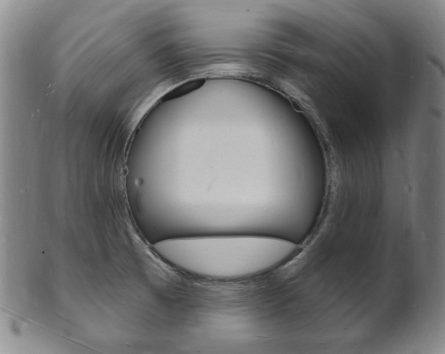X0000101691473200807101156