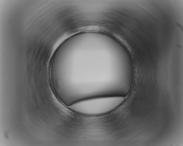 X0000101691475200807101156