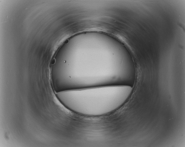 X0000101691476200807101156