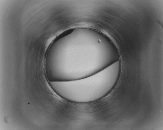 X0000101691477200807101156