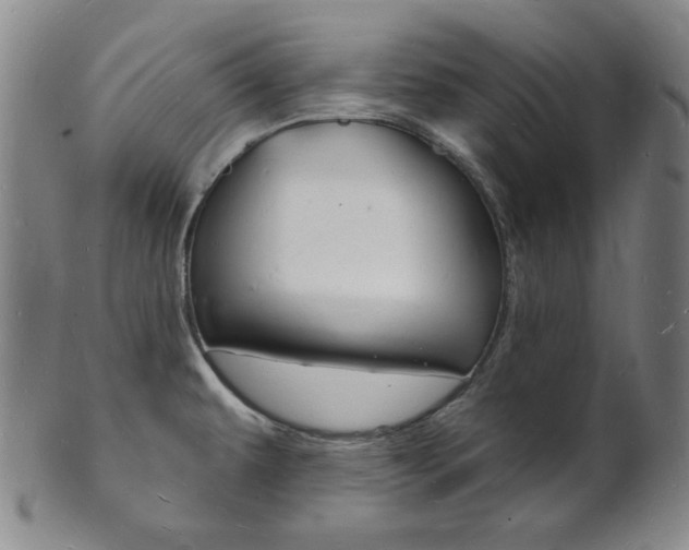 X0000101691479200807101156