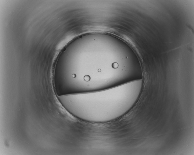 X0000101691480200807101156