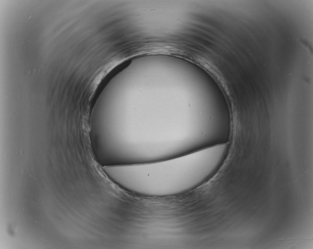 X0000101691481200807101156