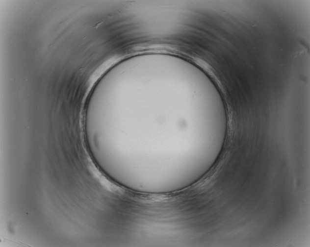 X0000101691482200807101156
