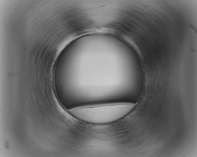 X0000101691483200807101156