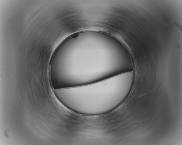 X0000101691484200807101156