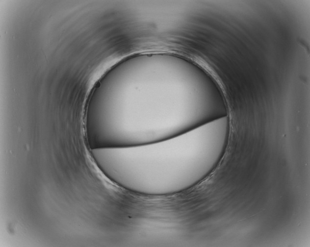 X0000101691485200807101156