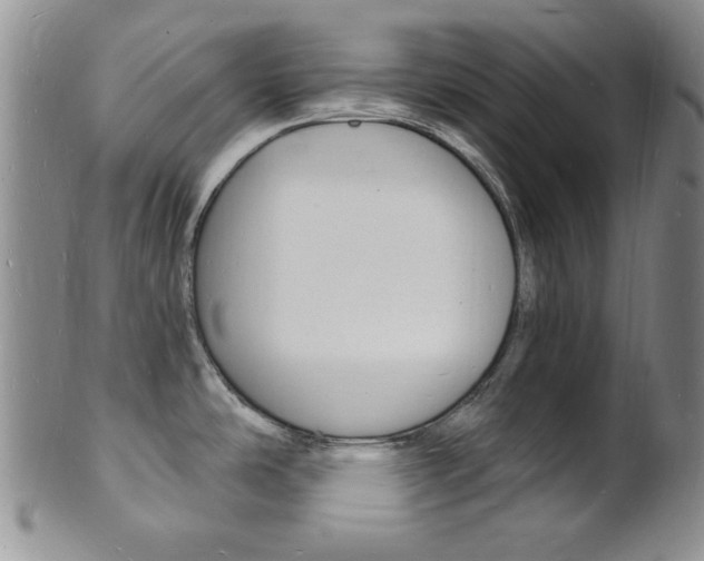 X0000101691486200807101156
