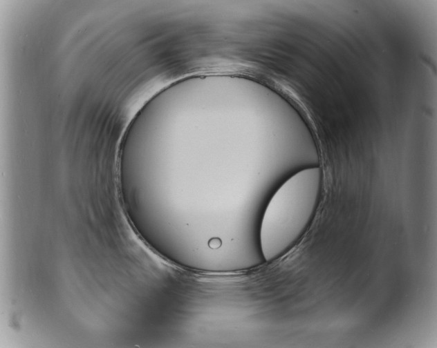 X0000101691487200807101156
