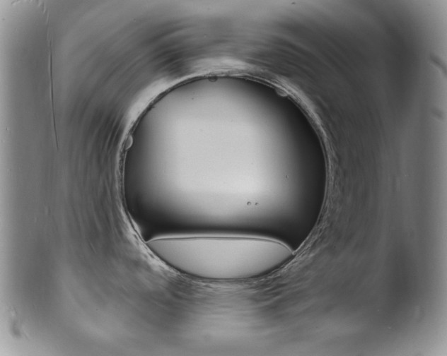 X0000101691488200807101156
