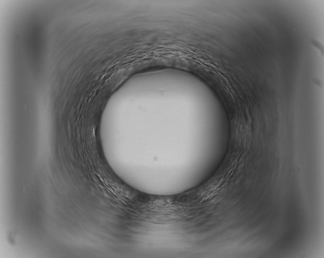 X0000101691489200807101155