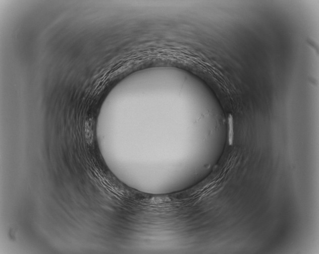 X0000101691491200807101155