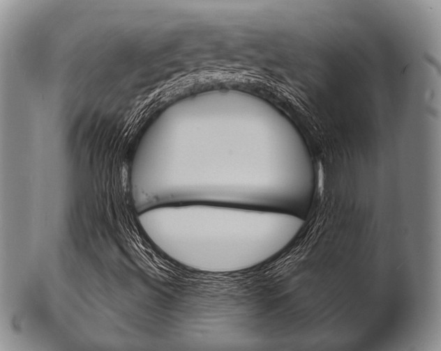 X0000101691492200807101155
