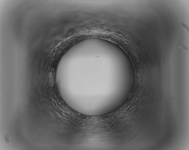 X0000101691493200807101155