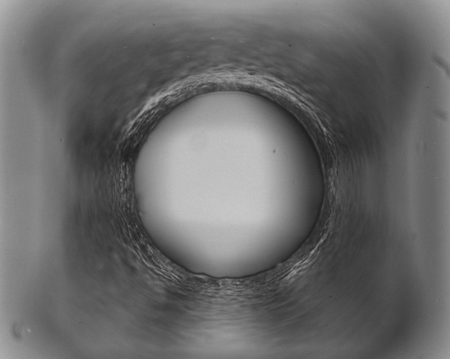 X0000101691494200807101155