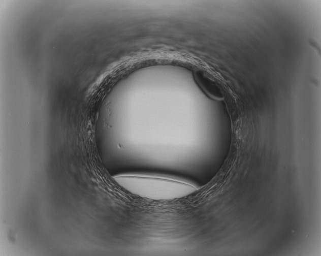 X0000101691495200807101155