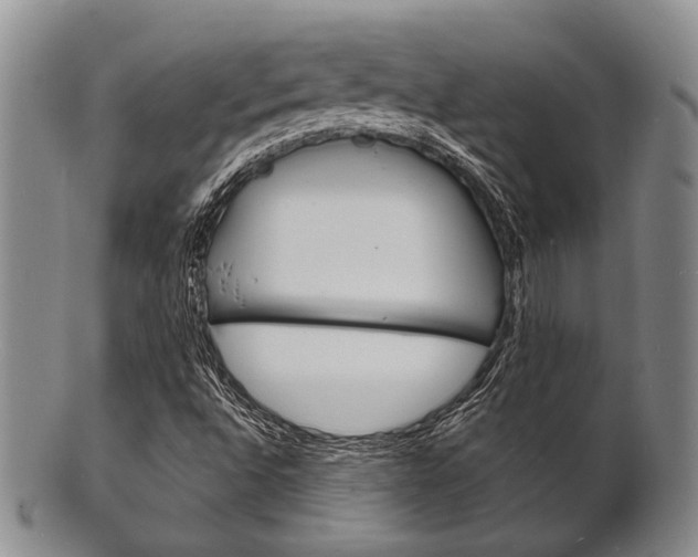 X0000101691496200807101155