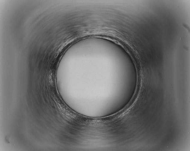 X0000101691497200807101155