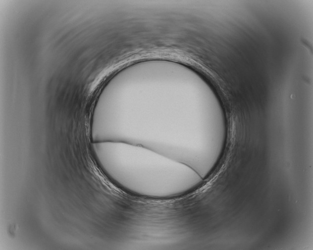 X0000101691498200807101155