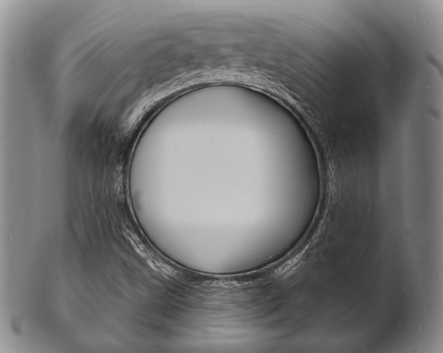 X0000101691499200807101155