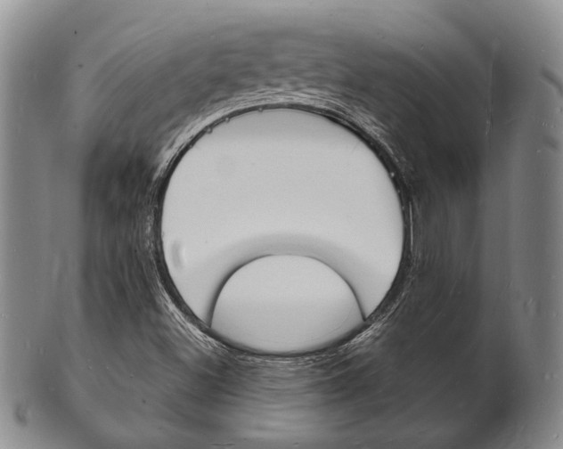 X0000101691500200807101155