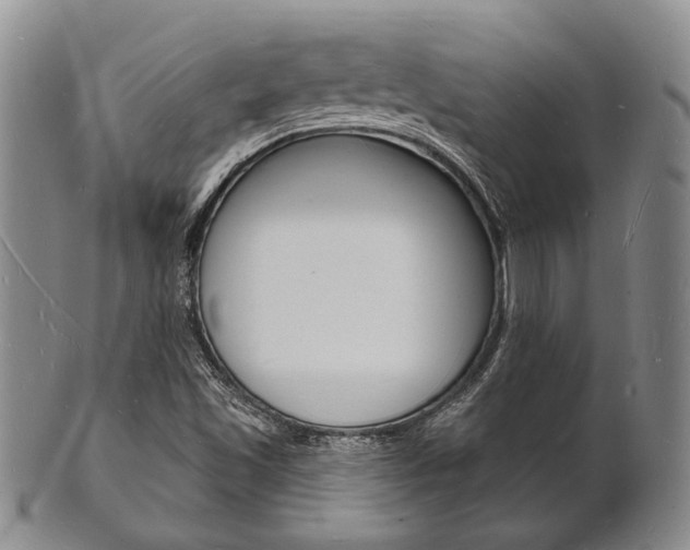 X0000101691501200807101155