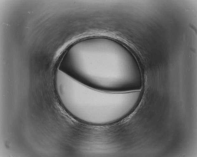 X0000101691502200807101155