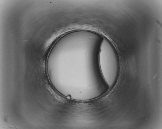 X0000101691503200807101156