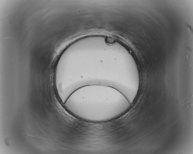 X0000101691504200807101156