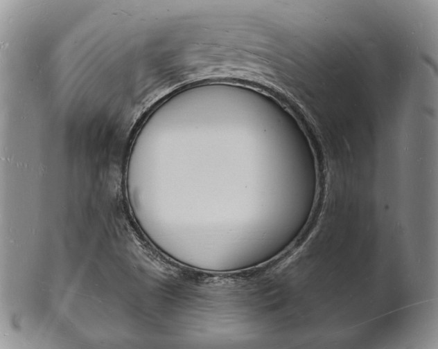 X0000101691505200807101156