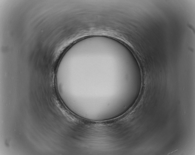 X0000101691507200807101156