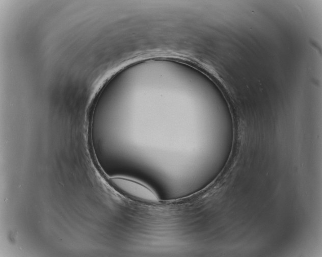 X0000101691508200807101156