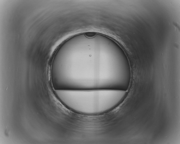 X0000101691510200807101156