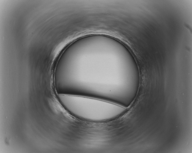 X0000101691511200807101156