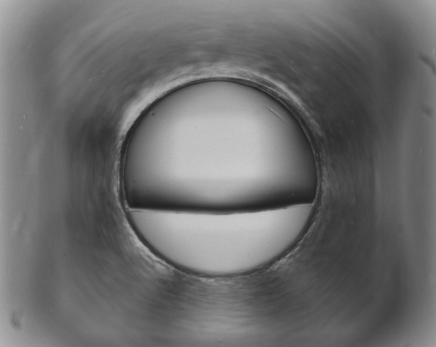X0000101691512200807101156