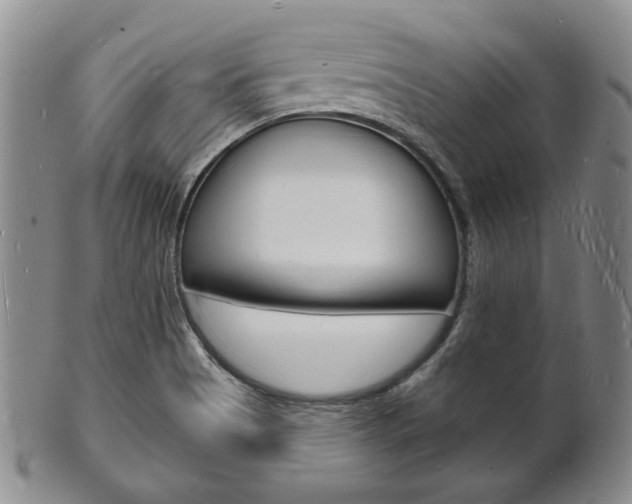 X0000101691513200807101156