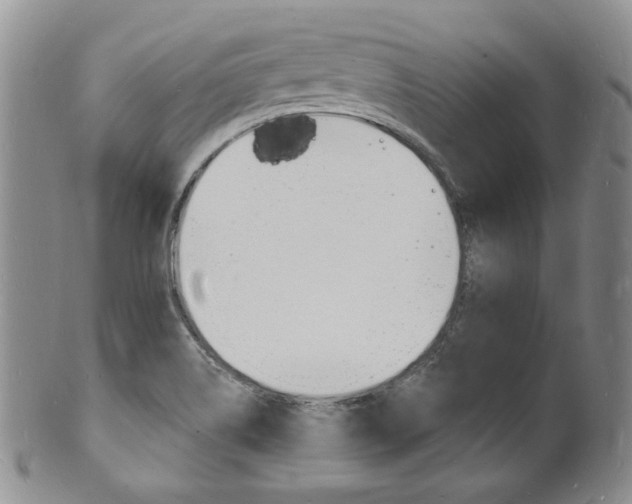 X0000101691514200807101156