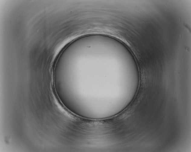 X0000101691515200807101156