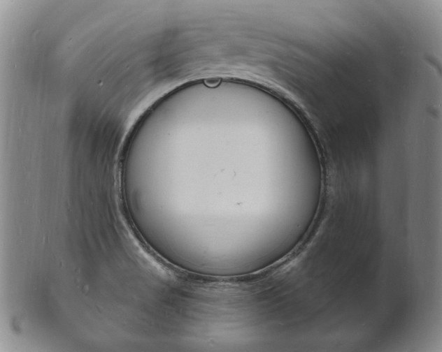 X0000101691517200807101156