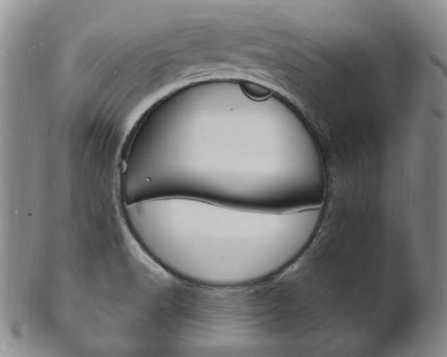 X0000101691518200807101156