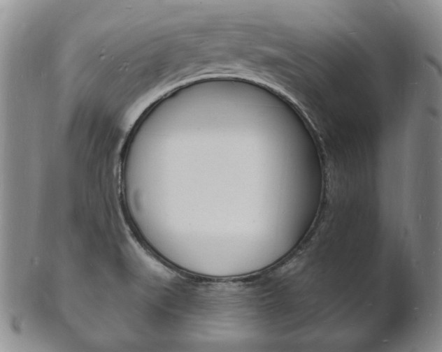 X0000101691519200807101156