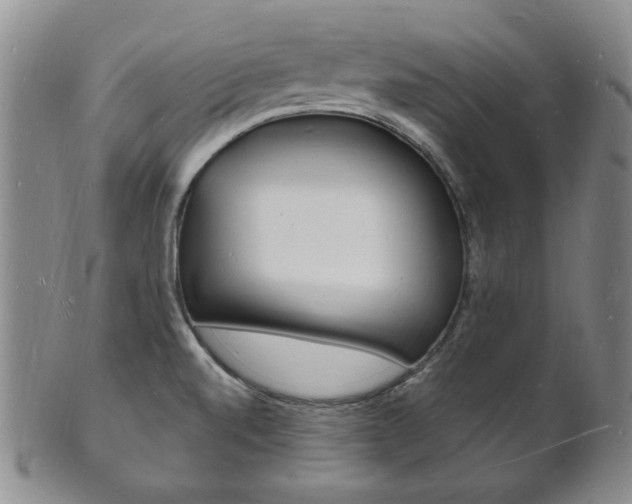 X0000101691520200807101156